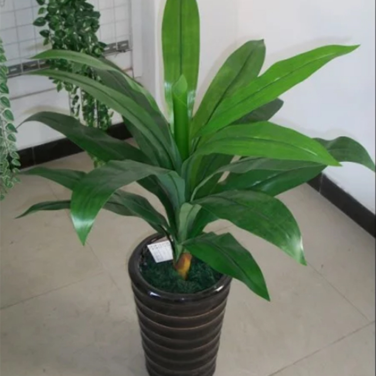 關于仿真植物的知識你知道多少？
