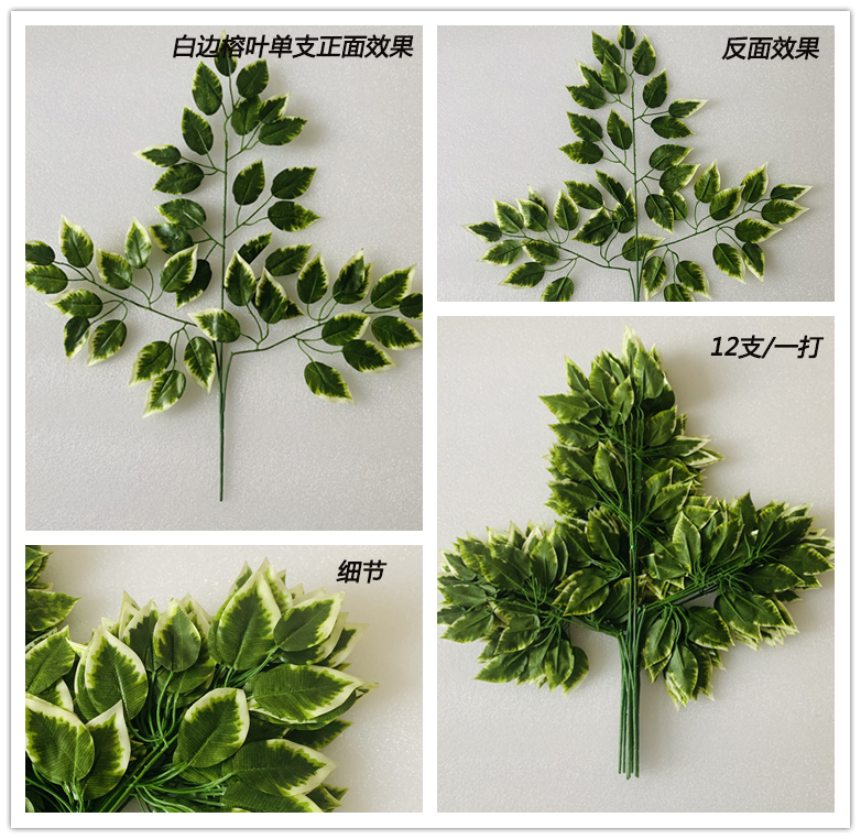 仿真白邊榕樹(shù)葉子